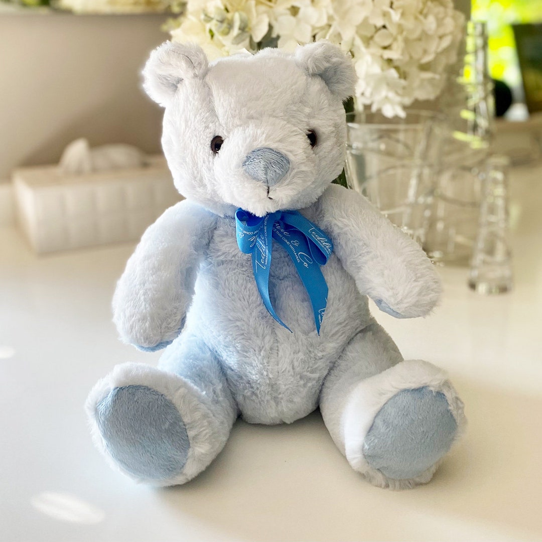 Sky blue teddy sale