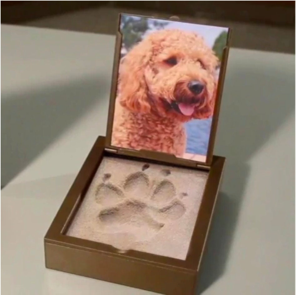 Lukinuo Paw Print Mold Dog Treat Mold Bone Silicone Mold 3 Pcs Dog Treat  Molds for Baking Dog Paw Silicone Mold Dog Molds for Frozen Treats Puppy