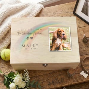 Könnte beinhalten: Eine hellfarbene Holz-Gedenkbox für Haustiere mit einem Foto eines Hundes. Die Box hat eine Regenbogen-Grafik und den Text "A piece of my heart is at The Rainbow Bridge" und den Namen "Maisy" mit Daten.