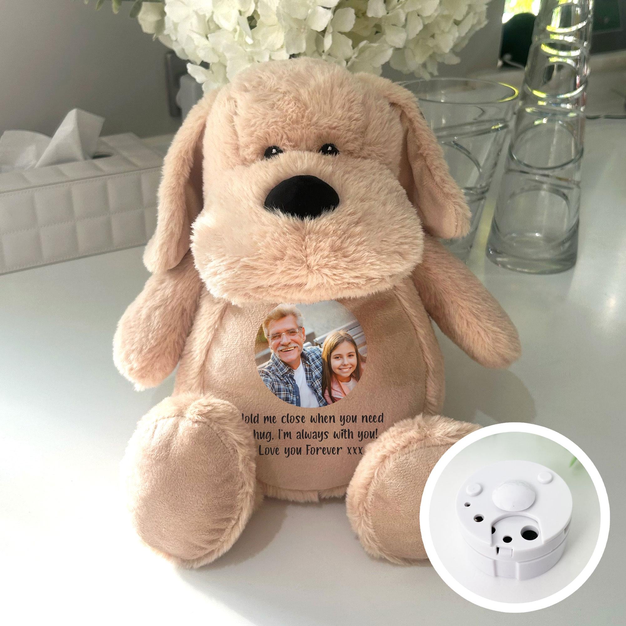 Voice Recorder Device Spy Voice Recorder For Stuffed Animal 12Pcs