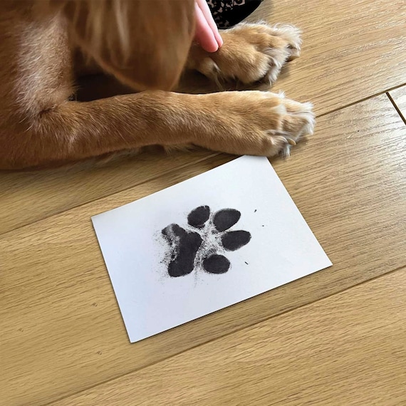 Small Pet Paw Print Clean-Touch Ink Pad Imprint Cards for Cats Dogs  Birthday Gifts DIY Keepsake Pawprint Maker Dog Funerary - AliExpress