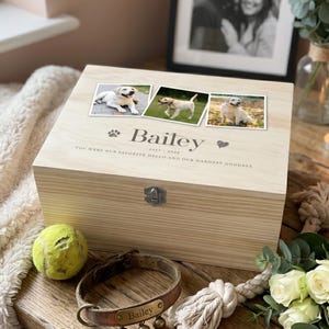 May include: A light-coloured wooden pet memorial box with three small photos of a dog on the lid. The box is engraved with the dog's name, "Bailey", and the years "2017-2024". A tennis ball and a leather dog collar are in front of the box.