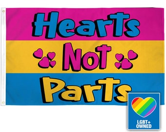 3x5 Pansexual FLag rainbow flag pansexual flag gaypride LGBTQ Gay pride flag pansexual LGBT Pan LGBT flag Pansexual Pansex