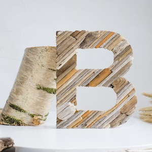 Handgemaakte aangepaste letters drijfhout, drijfhout muurkunst | ForestFamilyShop