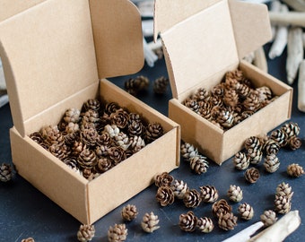Mini pinecones, 60 or 120 miniature pinecones for craft supplies | Extra small pinecones | ForestFamilyShop