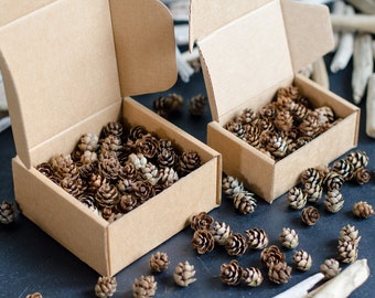 Minikottar, 60 eller 120 minikottar för pysselmaterial | Extra små kottar | ForestFamilyShop