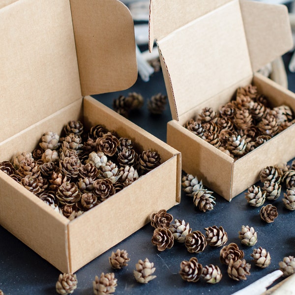 Mini pinecones, 60 or 120 miniature pinecones for craft supplies | Extra small pinecones | ForestFamilyShop