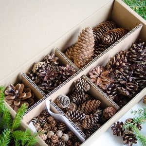 Pine cone mix craft supplies | Various size pine cones for decorations, wreaths, bouquets | ForestFamilyShop
