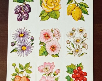 70s Vintage Eureka Stickers ~  Flowers And Fruit Sheet  ~ Cottagecore Farmcore Ephemera