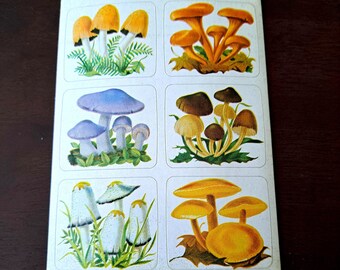 RARE: 70s 80s Vintage Mushroom Sticker Sheet - Cottagecore Forage ~ Dennison