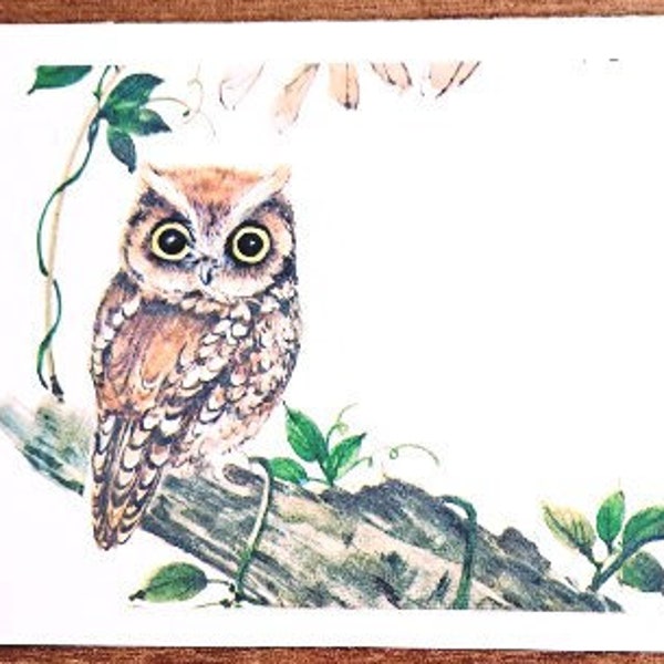 70s Vintage Owl Postcards 5PC ~  Cottagecore Retro Ephemera for Journals, Scrapbooks, Pen Pals, Gift giving