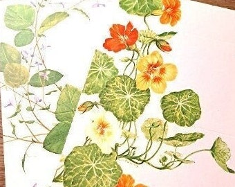 70s Vintage Botanical  postcards self mailers / Postalettes Leaves and Nasturtiums Cottagecore Ephemera