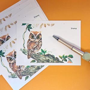 70s Vintage Owl Postcard Stationery ~ Unused