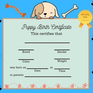 Geboorteakte puppy - reu