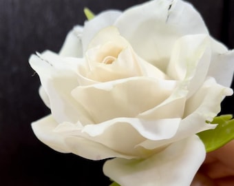 May include: A close-up of a white rose with multiple petals. The centre of the rose is a soft cream colour, and the petals gradually lighten to a bright white. Green leaves are visible at the base of the flower.