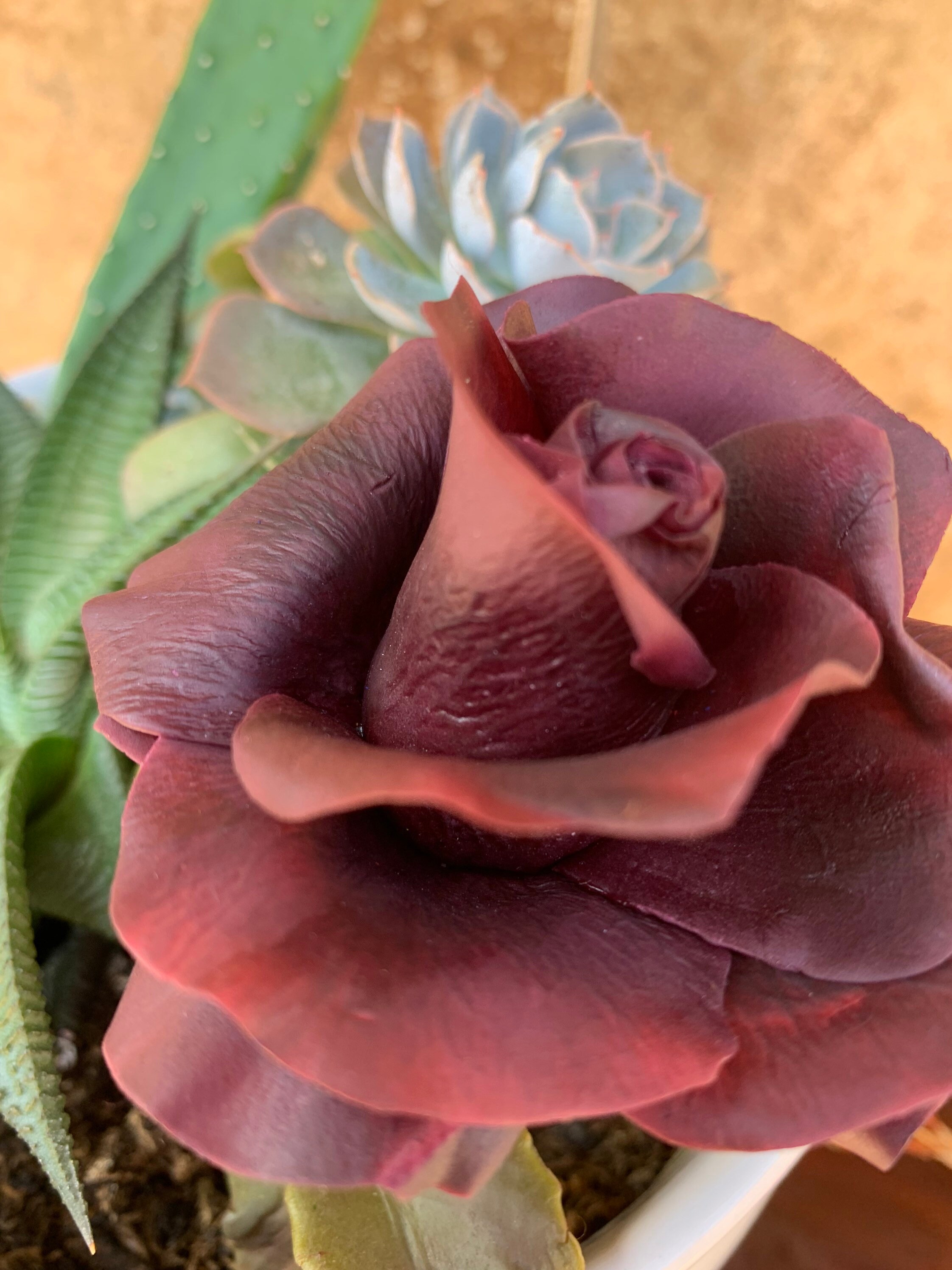 Signature Roses Edible Flowers Decorations Gumepaste Cake - Etsy