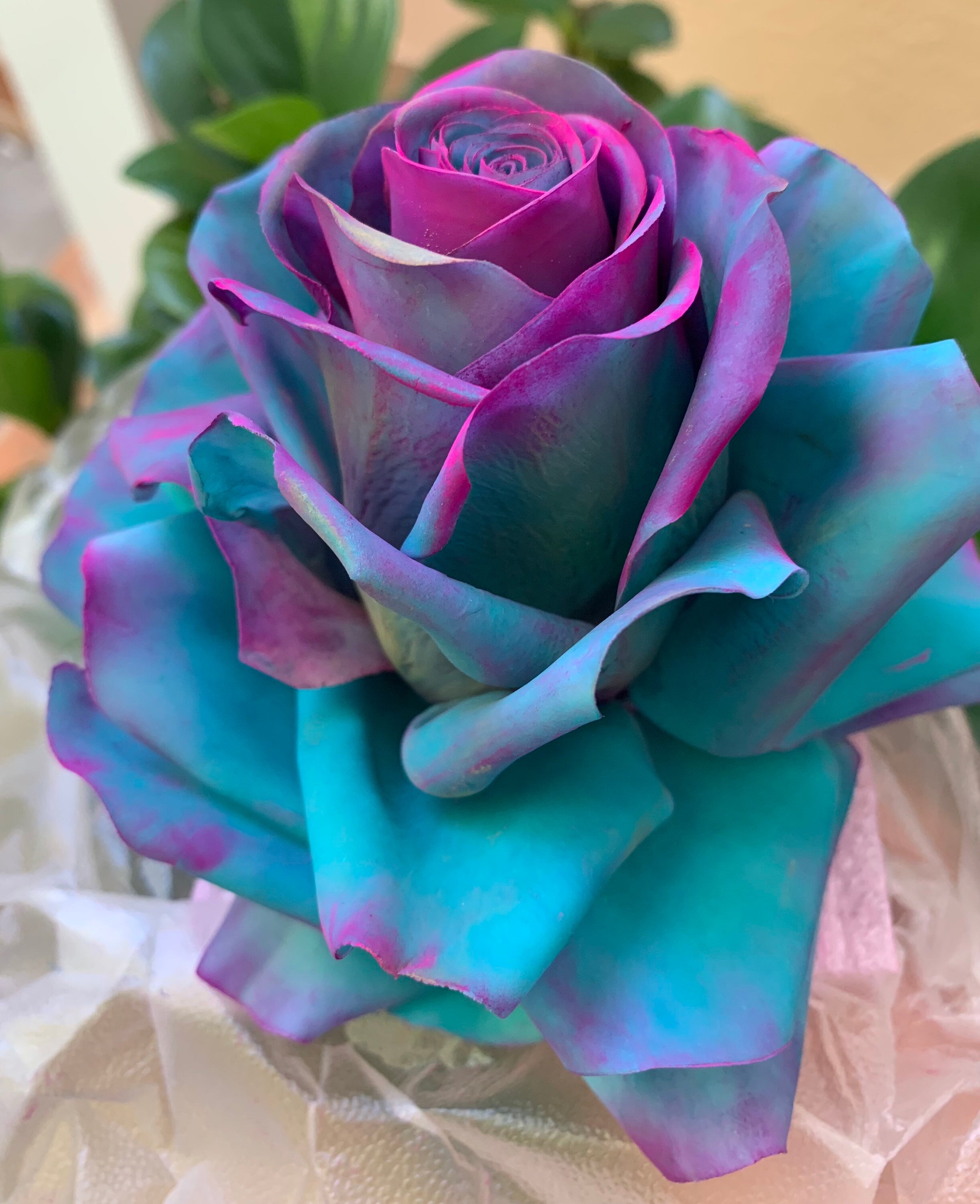 Signature Roses Edible Flowers Decorations Gumepaste Cake - Etsy