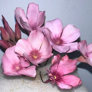 Handmade Oleander flower/Adelfas flores, Realistic, flexible paste, Edible, Gumepaste Cake Topper, Wedding Cake Flowers, Fondant , Any Color