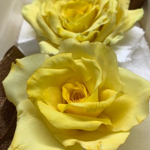 Handmade GumPaste Rose, Edible Flower Decorations,  Cake Toppers, Wedding flowers, Sugar Flower, Fondant  - Local customers