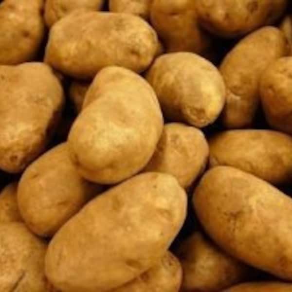 Potatoes Russet Fresh Produce 10 lbs