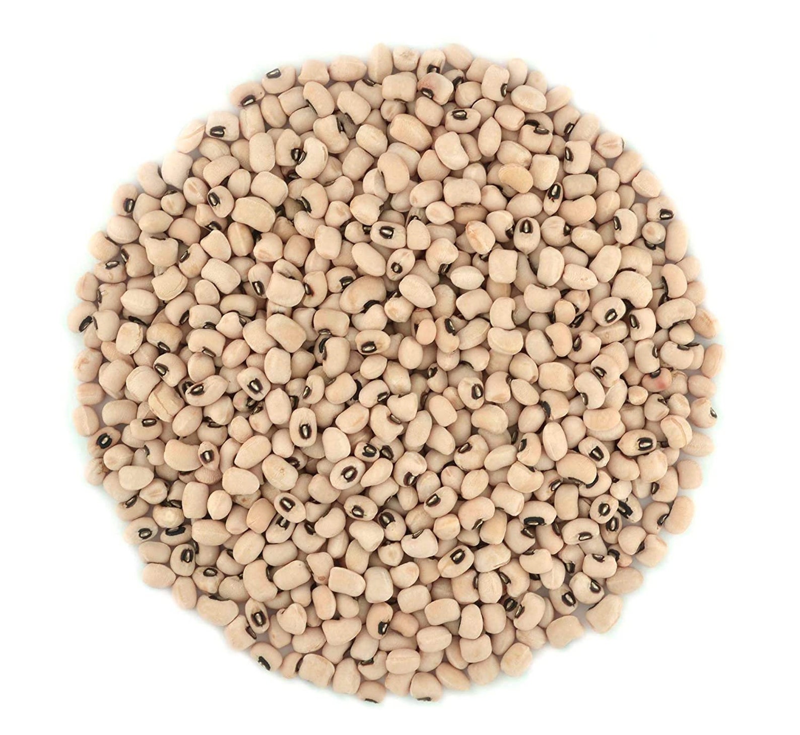 Dry Bulk Organic Chick Peas 25 Pounds Etsy