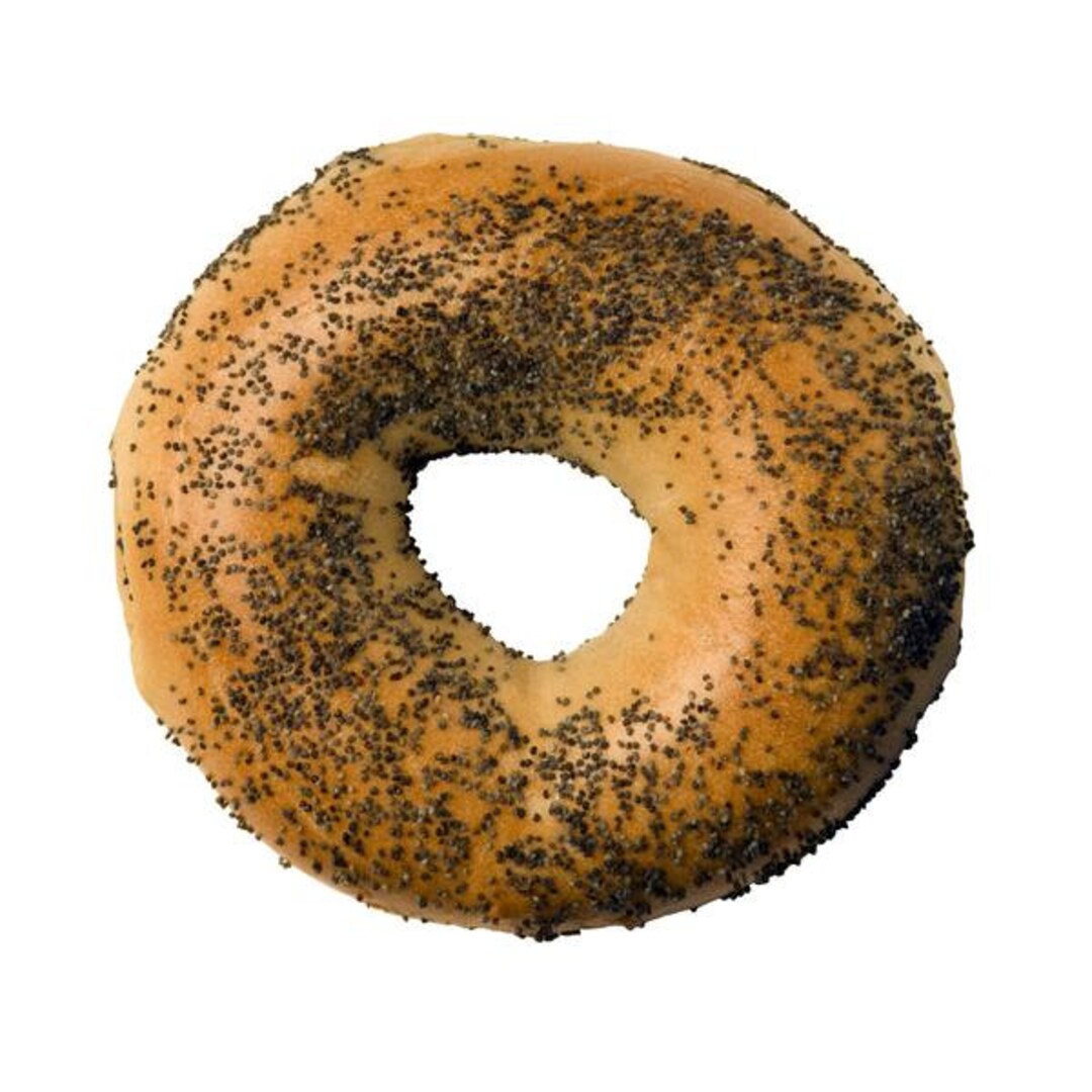 12 New York Bagels Bagel of the Month Poppy Seed Etsy