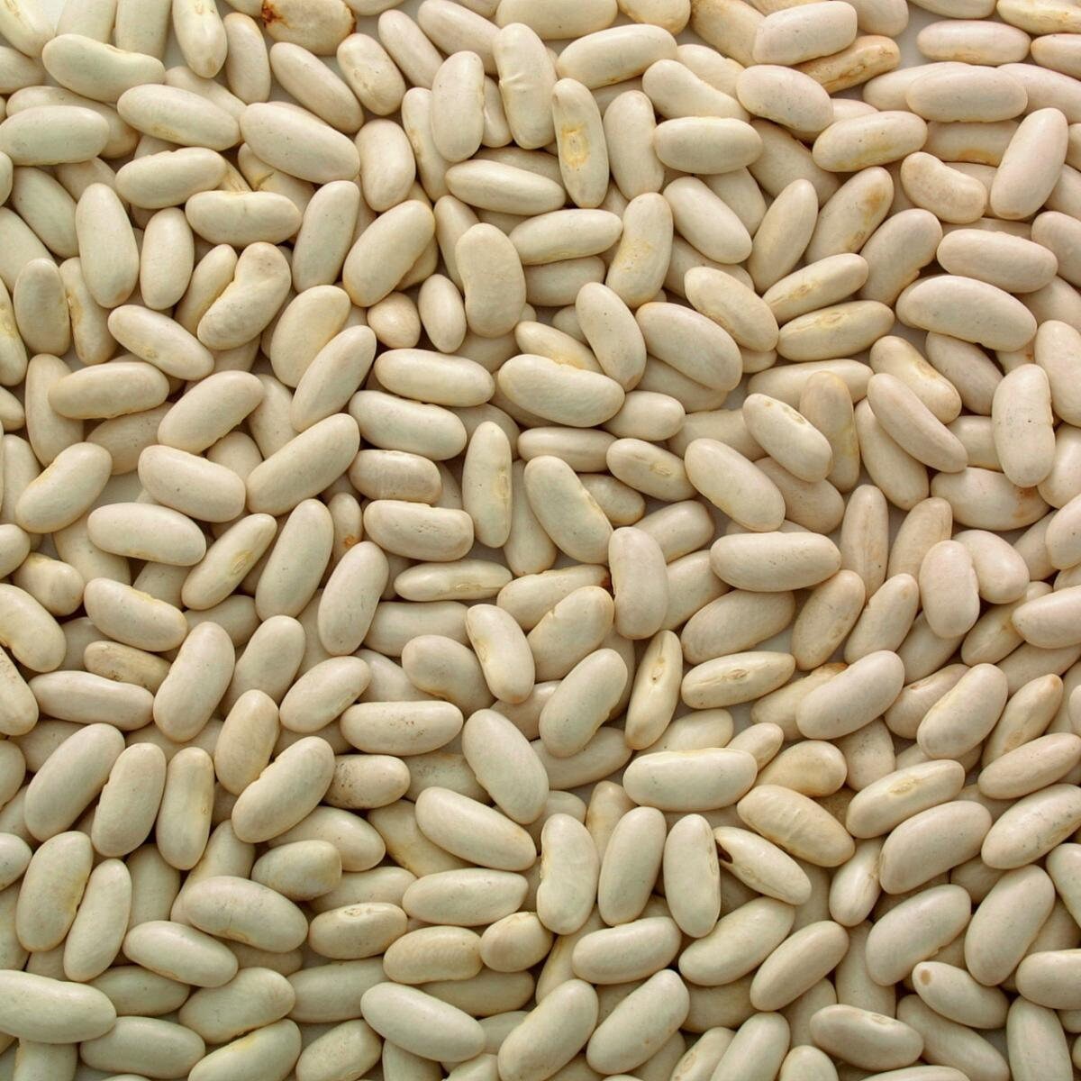 Dry Bulk Cannellini Beans 25 Lbs Etsy