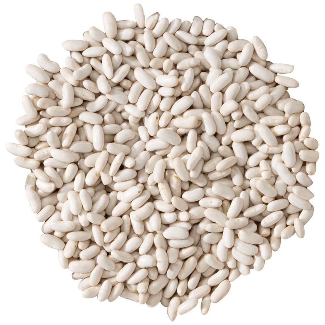 Dry Bulk Cannellini Beans 25 Lbs Etsy
