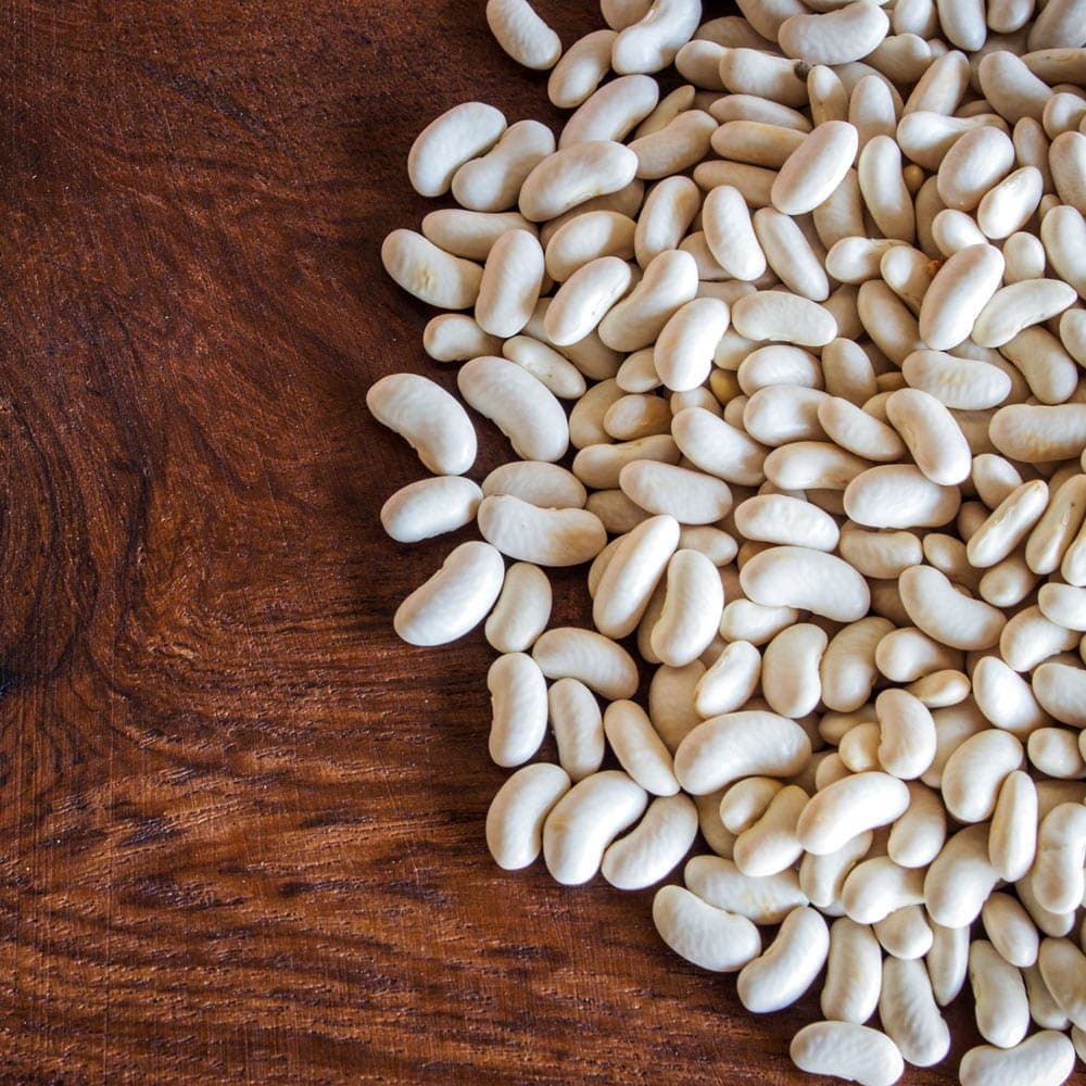 Dry Bulk Cannellini Beans 25 Lbs Etsy