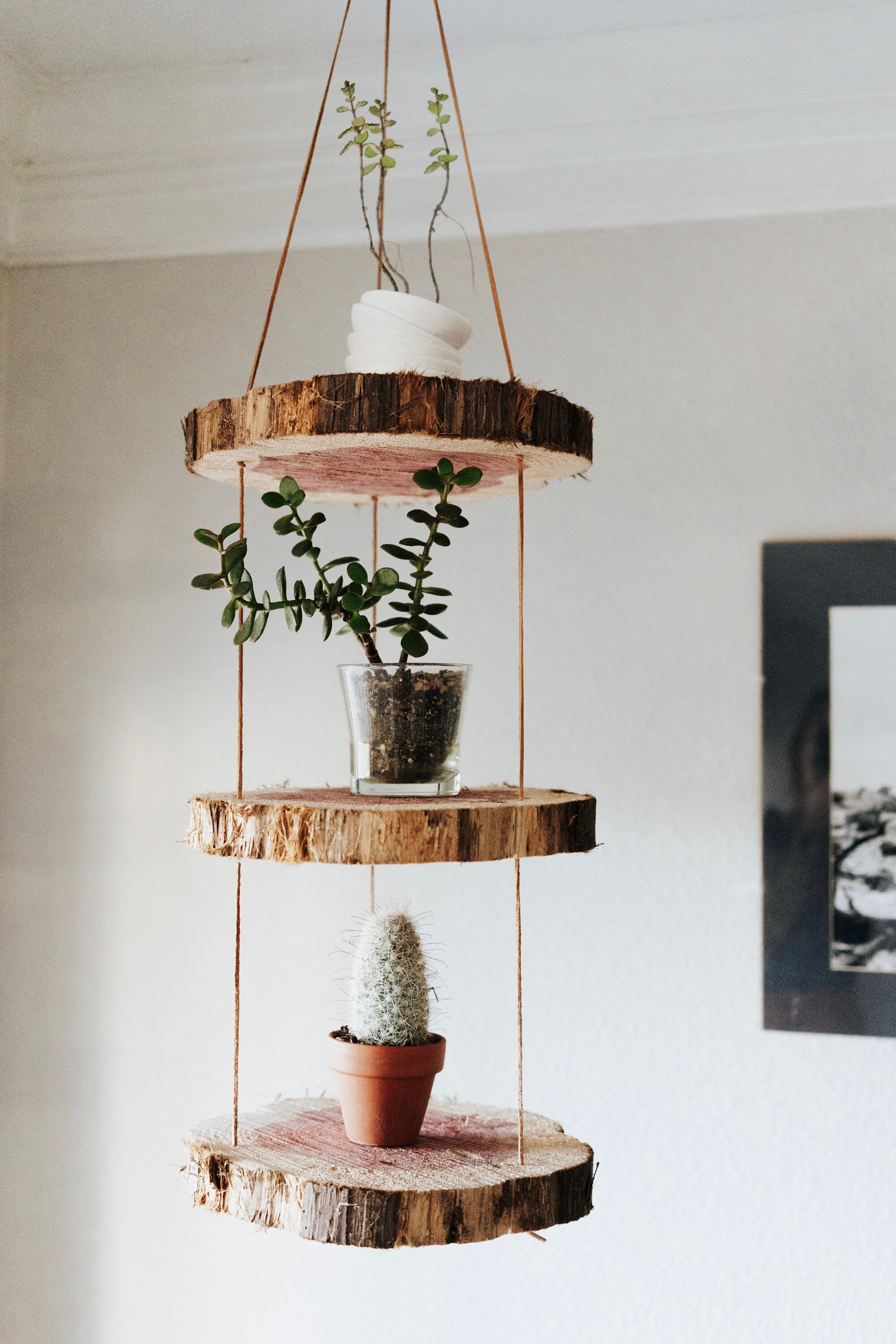 Zedernholz Hängende Überhänger | Etsy