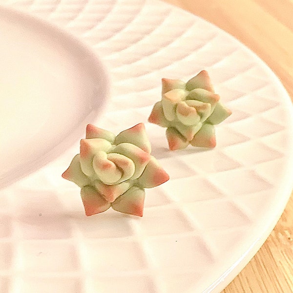 Succulent Earrings - Valentines Gift Plant Studs Steel / 18 Karat Gold Plated
