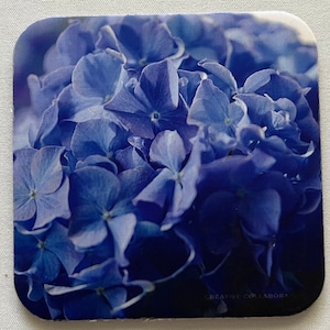 Blue Hydrangea Coasters