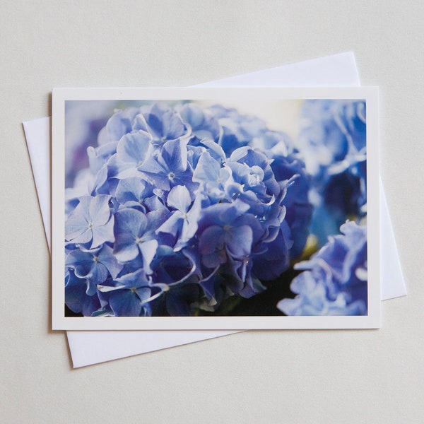 Hydrangea Notecards