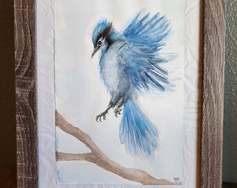 Watercolor Blue Jay