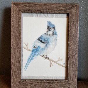 Blue Jay Feather Hand Original Watercolour Feather Painting Etsy