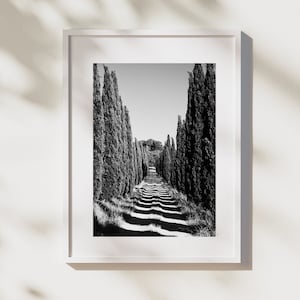 Tuscany black and white fine art photo print, Italy landscape travel photography, Tuscan cypress lane and shadows Italy Wall Art gift