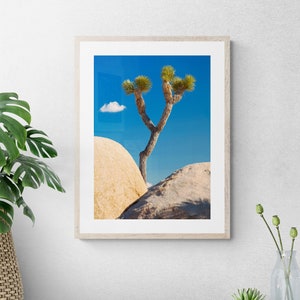 Joshua Tree National Park fine art photo print,  California landscape photography, California National Park USA Wall Art, Joshua Tree gift