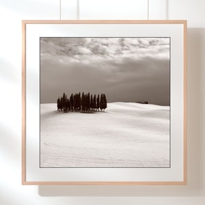 Toscane landschap zwart-wit fine art foto print, Italië reisfotografie, Toscaanse cipressen Italië Wall Art cadeau, Orcia Valley