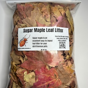 May include: A clear plastic bag filled with dried sugar maple leaves. The bag has a white label with the text "Sugar Maple Leaf Litter" and "NET WT 4oz". The label also includes the text "Sugar maple is an excellent easy-to-ingest leaf litter for your detritivorous pets."