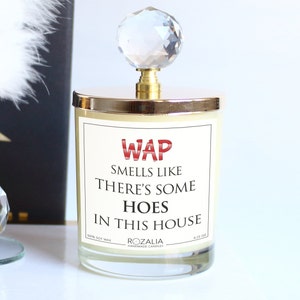 Smells Like WAP Candle, Funny Gifts, Hand Poured Candle, 6.25 Oz. Glass Candle, Home Office Gift, There's Some Hoes in This House,