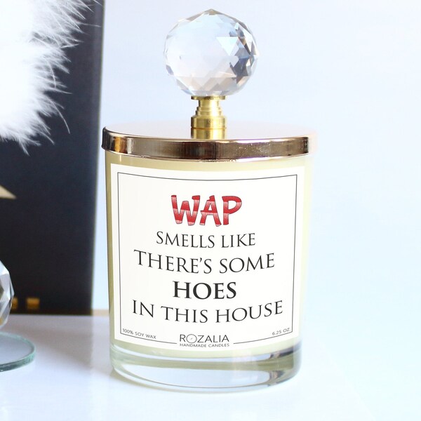 Smells Like WAP Candle, Funny Gifts, Hand Poured Candle, 6.25 Oz. Glass Candle, Home Office Gift, There's Some Hoes in This House,