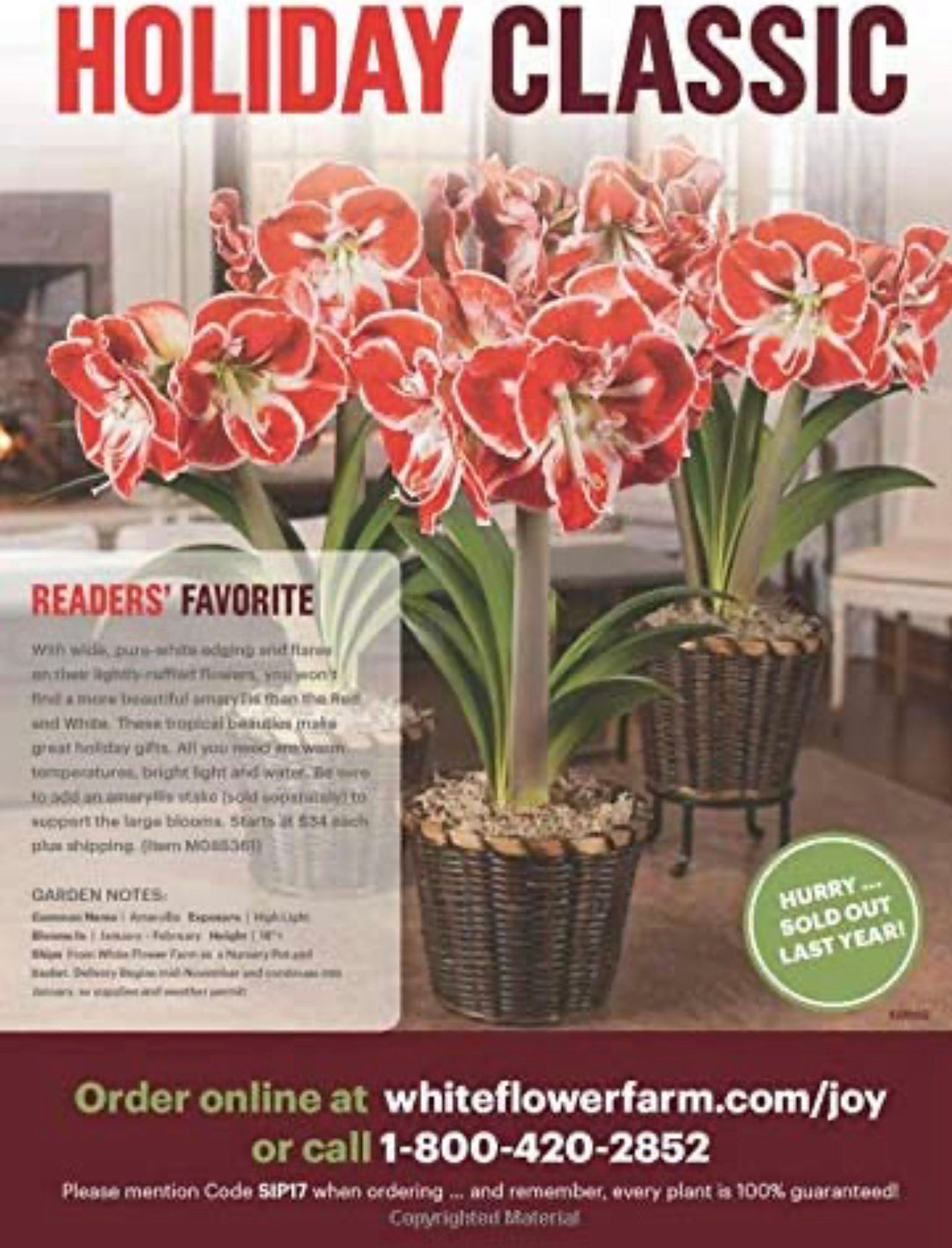 Better Homes & Gardens FARMHOUSE Magazine 2020 Etsy