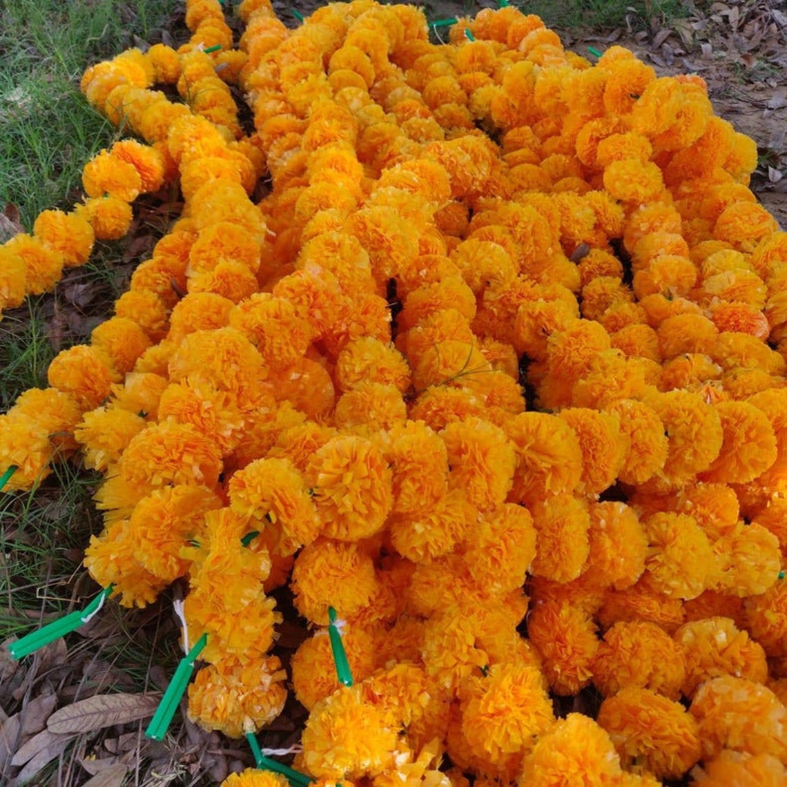 Wholesale 30 Marigold Garland for Day of the Dead Dia De Los | Etsy