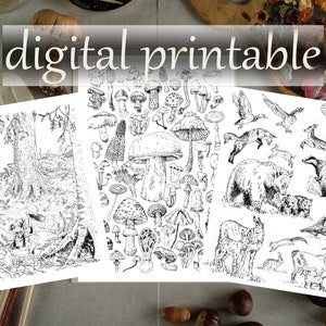 Colouring Book 8 Woodland Creatures Digital Printable, Autumn, Cottagecore DIY, Download Christmas Gift, Botanical art, Mushroom and Animals