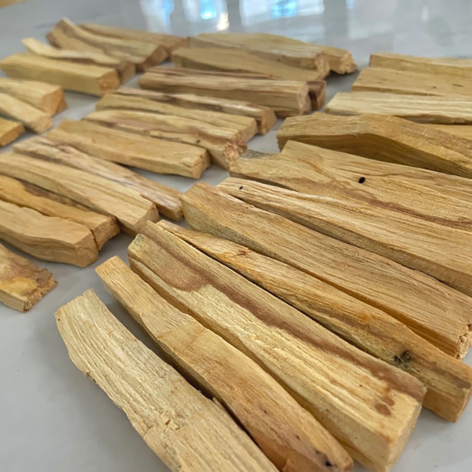 Palo Santo Fresh Holy Wood Incense Choose 1510 4 Inches Etsy