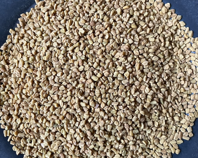 Dried Fenugreek | Dried Flowers | Dried Herbs | Kosher Herbs | Craft Supplies | Herbs for Tea | 1/2 Oz | Witchcraft