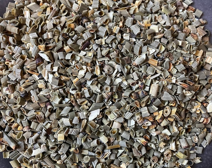 Dried Shave Grass | Horsetail | Dried Flowers | Dried Herbs | Organic | Kosher Herbs | Craft Supplies | Herbs for Tea | 1/2 Oz | Witchcraft