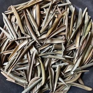 Dried Whole Olive Leaf | Dried Flowers | Dried Herbs | Organic | Kosher Herbs | Craft Supplies | Herbs for Tea | 1/2 Oz | Witchcraft