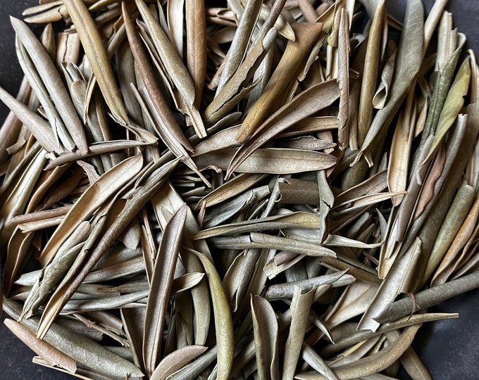 Dried Whole Olive Leaf | Dried Flowers | Dried Herbs | Organic | Kosher Herbs | Craft Supplies | Herbs for Tea | 1/2 Oz | Witchcraft