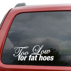 Too Low For Fat Hoes JDM Car Window Decor Vinyl Decal Sticker